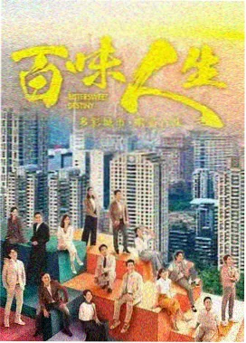 雾港档案 刑侦剧集缩略图
